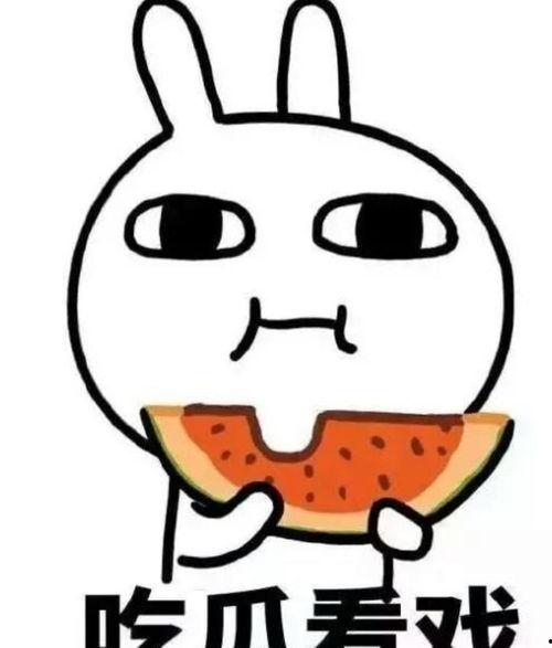娱乐圈吃瓜情报